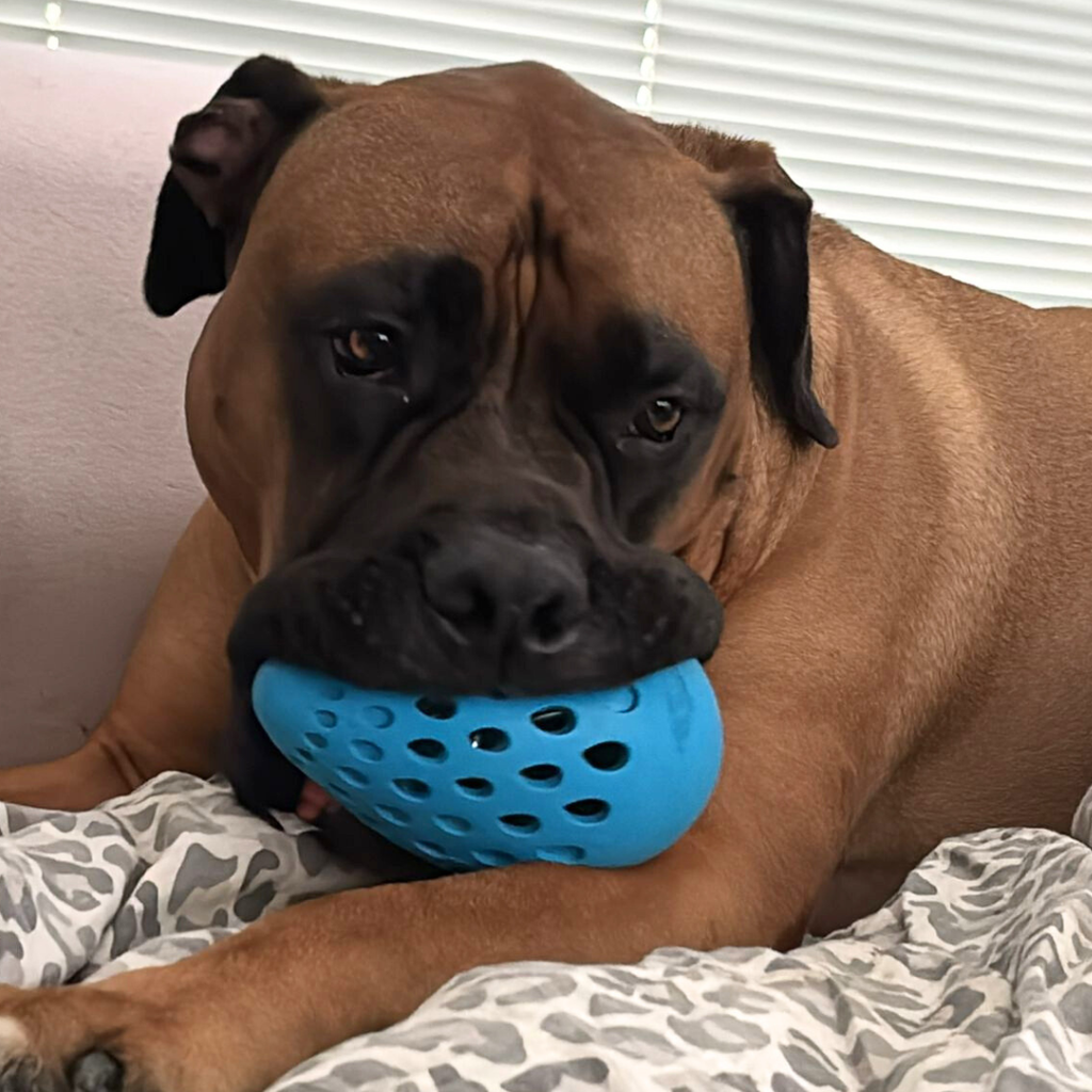 Frits’ PowerChew Box