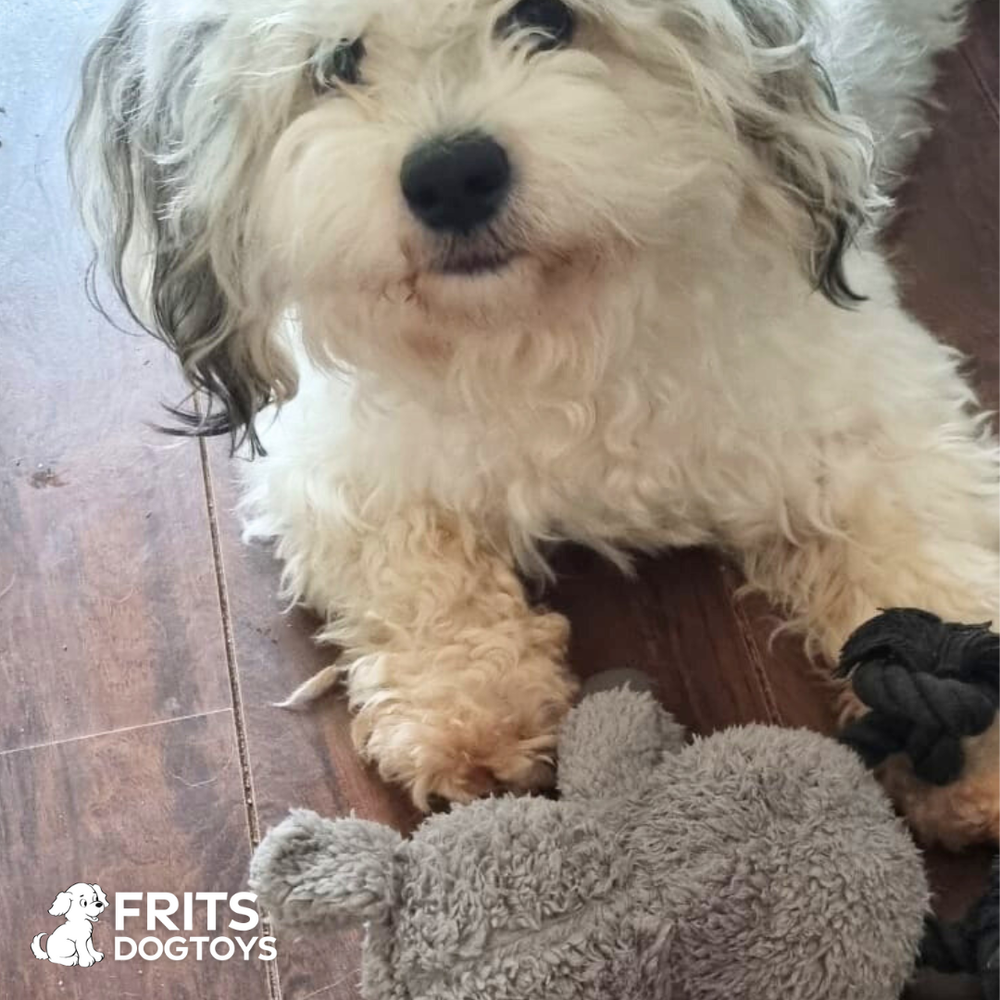 <h2>Wat onze klanten zeggen:</h2>