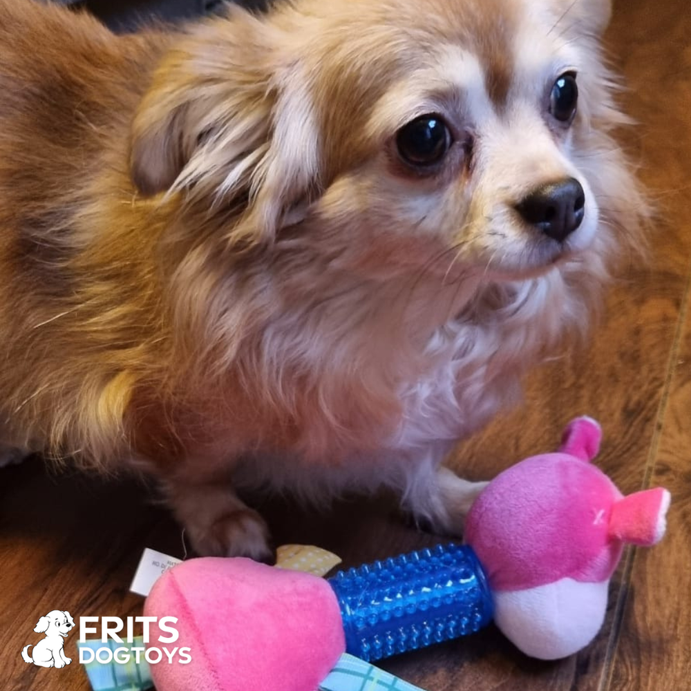 <h2>Wat onze klanten zeggen:</h2>