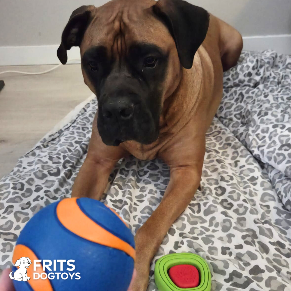 <h2>Wat onze klanten zeggen:</h2>