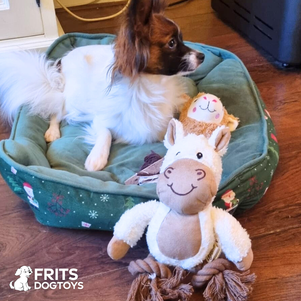 <h2>Wat onze klanten zeggen:</h2>