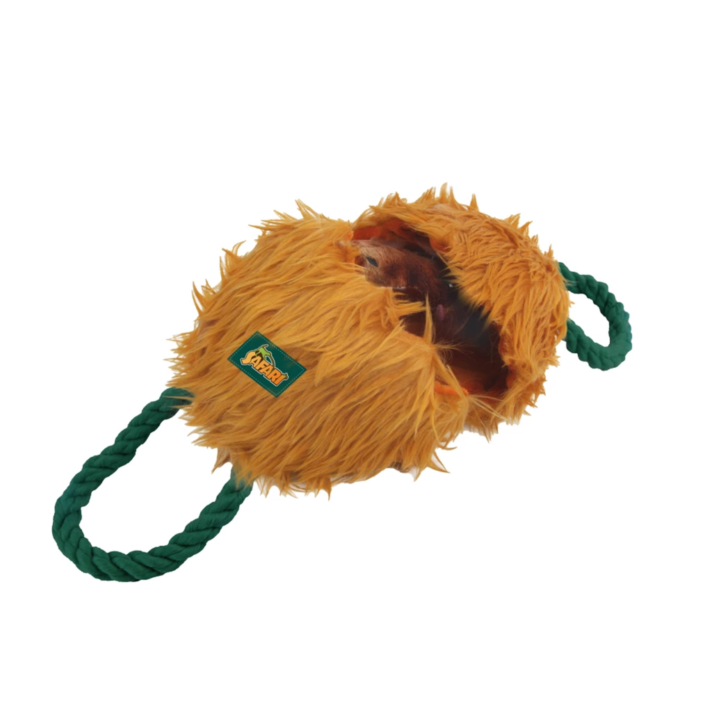 AFP Safari - Leave me Alone Slang