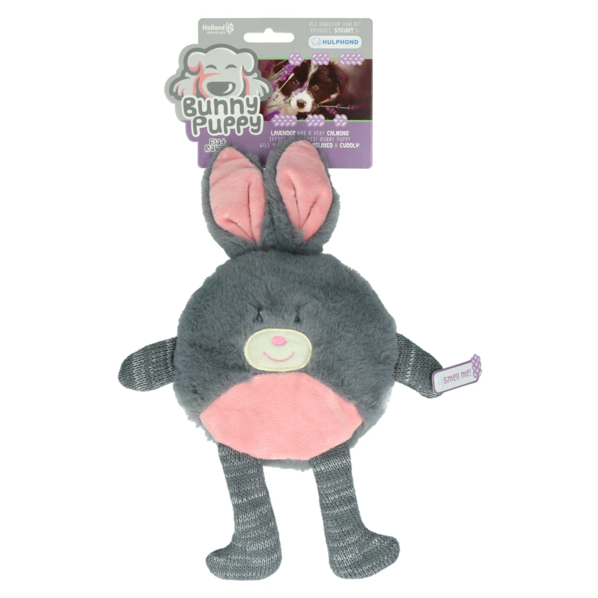 Bunny Puppy - Flat Rabbit