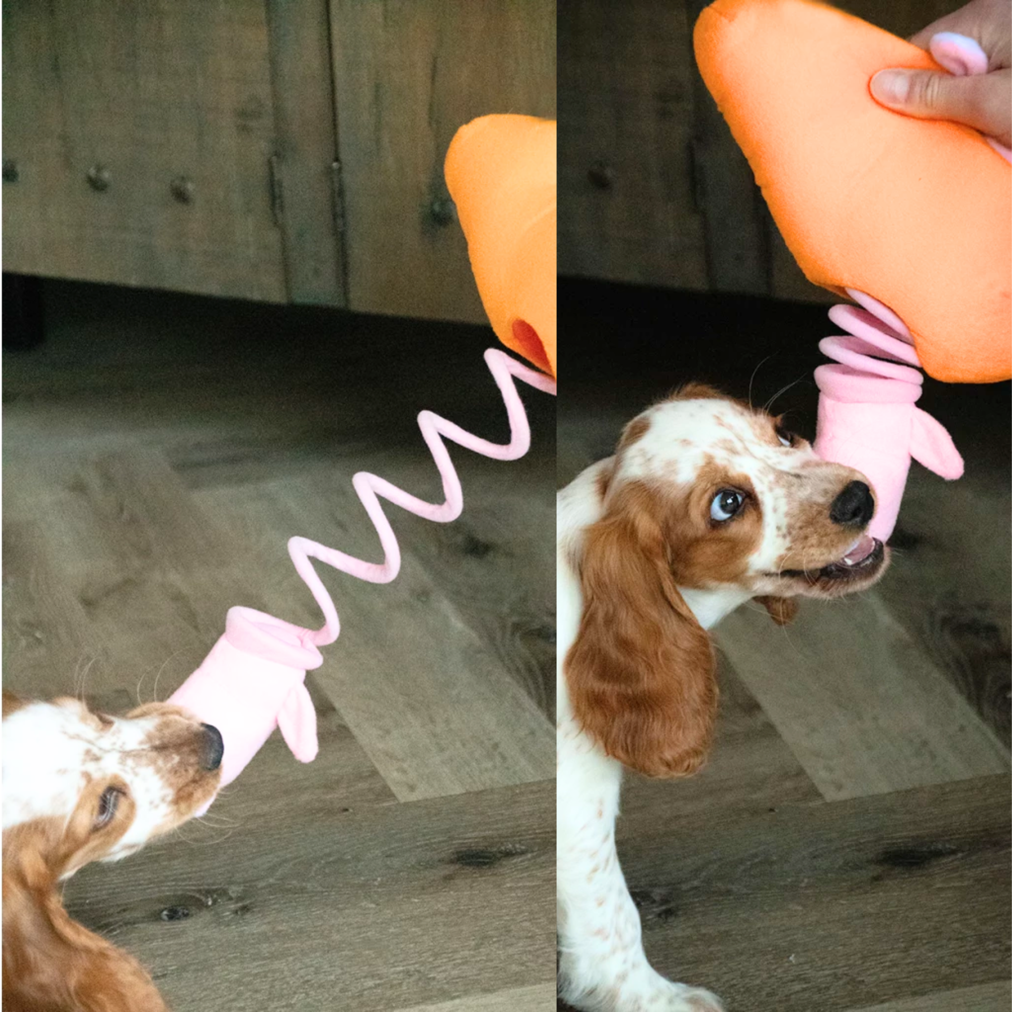 Double Wobble - Carrot Conejos