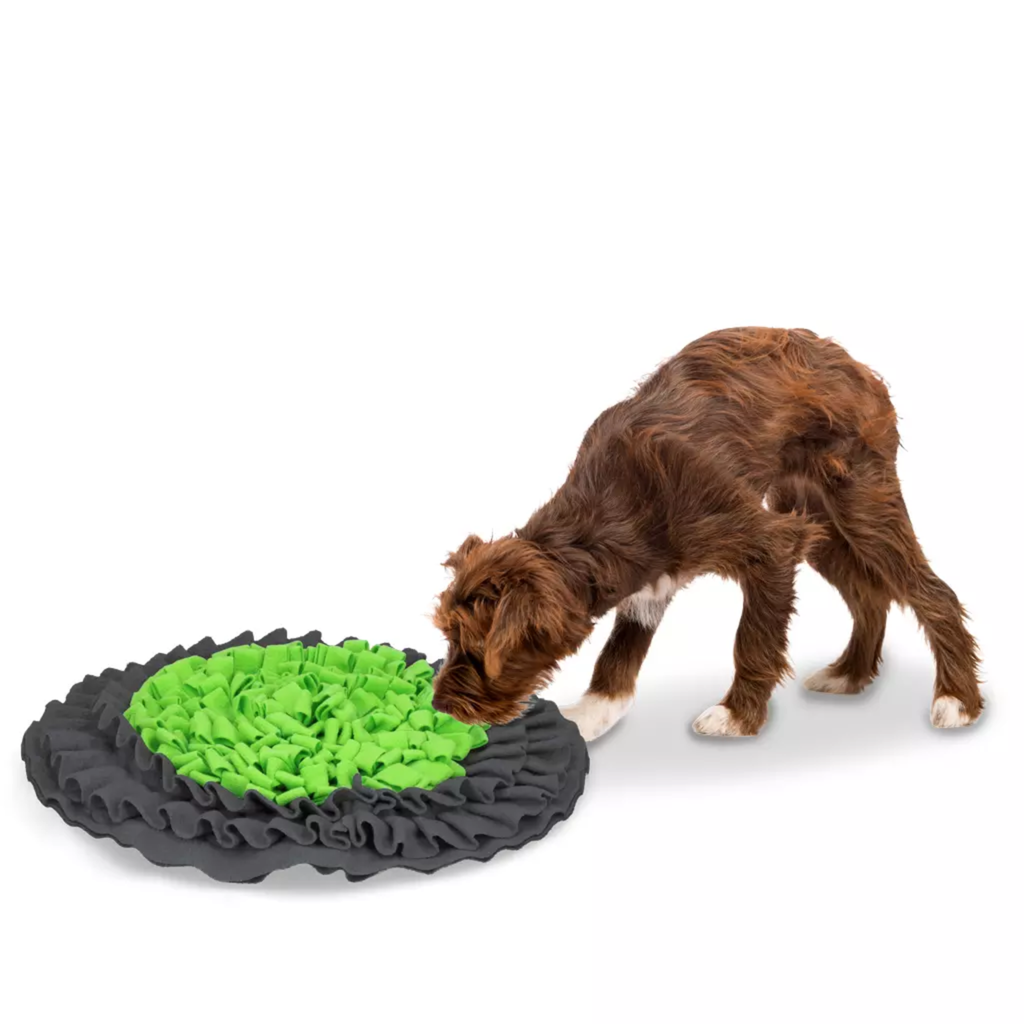 Eat Slow Live Longer - Snuffle Mat