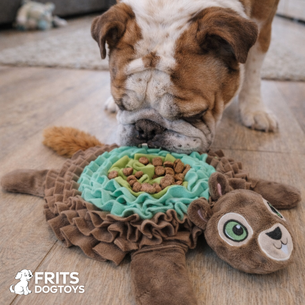 <h2>Wat onze klanten zeggen:</h2>