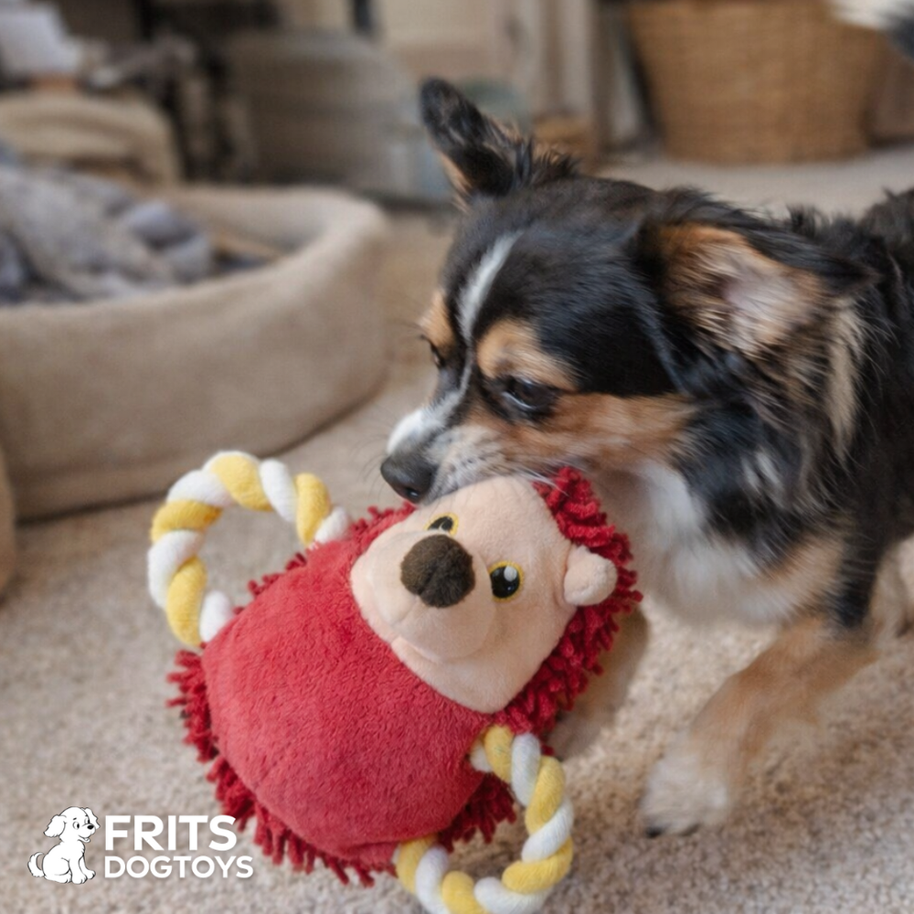 <h2>Wat onze klanten zeggen:</h2>